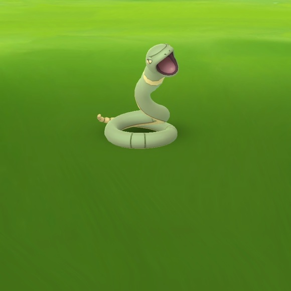 Meet your Posher, Heidi - Picture 1 of 1